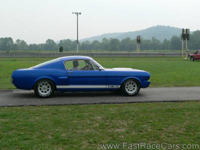 Mustang Mustang